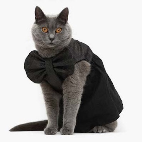 Le Bon Bon Shop - Picture 1 of 1